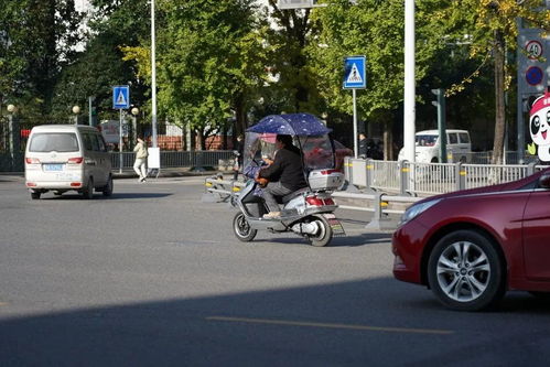 寶興縣規范電動三輪與四輪車管理 上路需持證上牌，強化生產源頭治理
